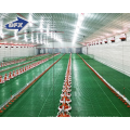 Moderate Price 10000 Chickens Large Scale Automatic Chicken Broiler House Poultry Farm Design